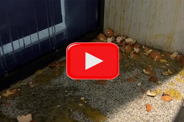 Video prilog o ponovnom napadu na prostrojie Pokreta za narod i državu u Nišu